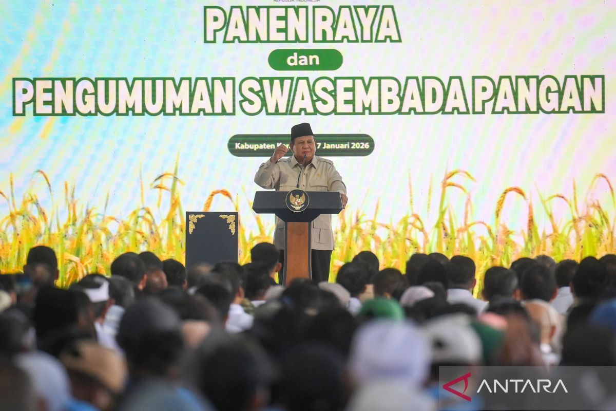 Presiden umumkan swasembada pangan nasional 2025