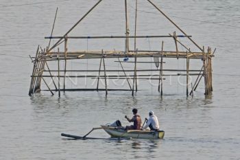 NTB fokus tingkatkan nilai tambah sektor perikanan
